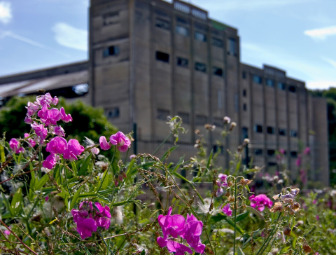 Bedrijfsgebouw met bloemen