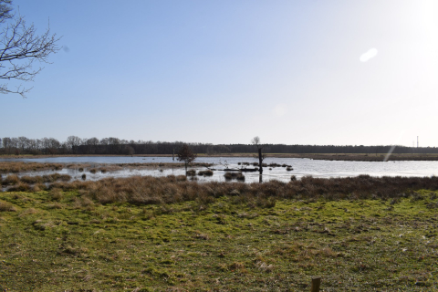 Landschap Zwarte Beek