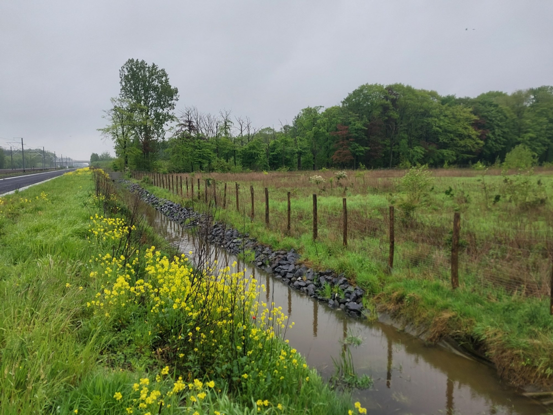 Natuur naast spoorweg