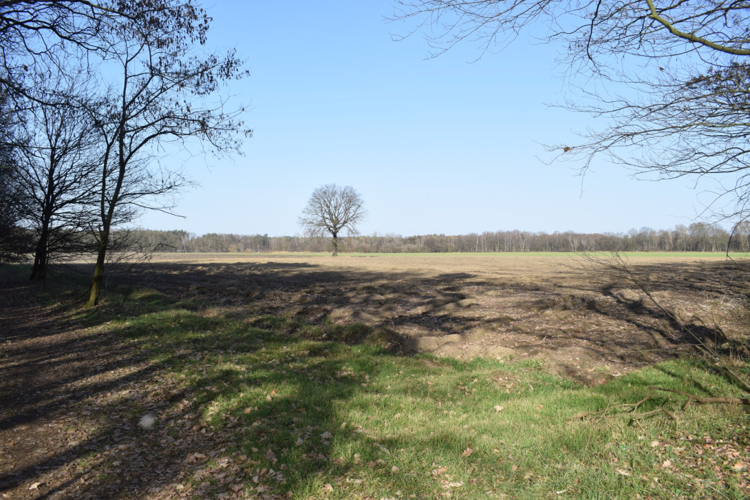 Landschap Zwarte Beek