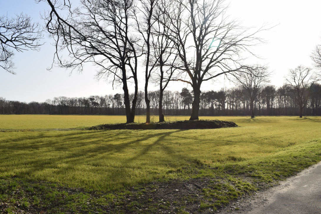 Landschap Zwarte Beek